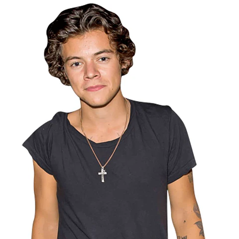 Harry Styles