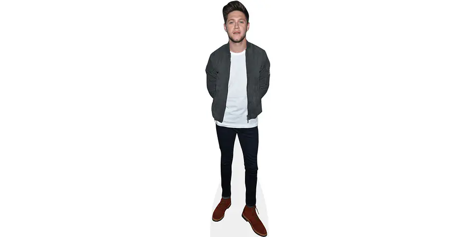 Niall Horan 1