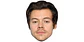 Harry Styles - Miniatura 1