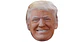 Donald Trump - Miniatura 1