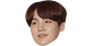 Suga - Miniatura 1