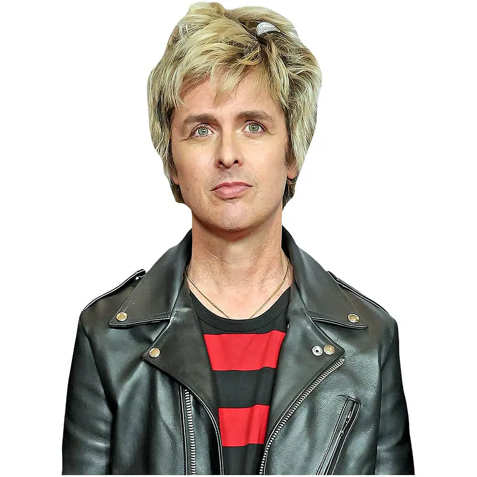 Billie Joe Armstrong 1