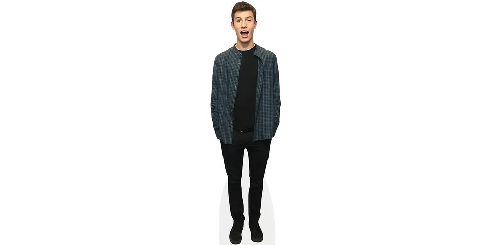 Shawn Mendes 1