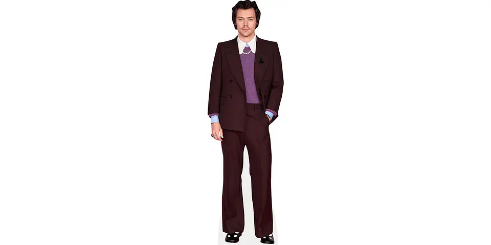 Harry Styles 1