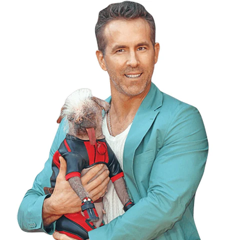 Ryan Reynolds
