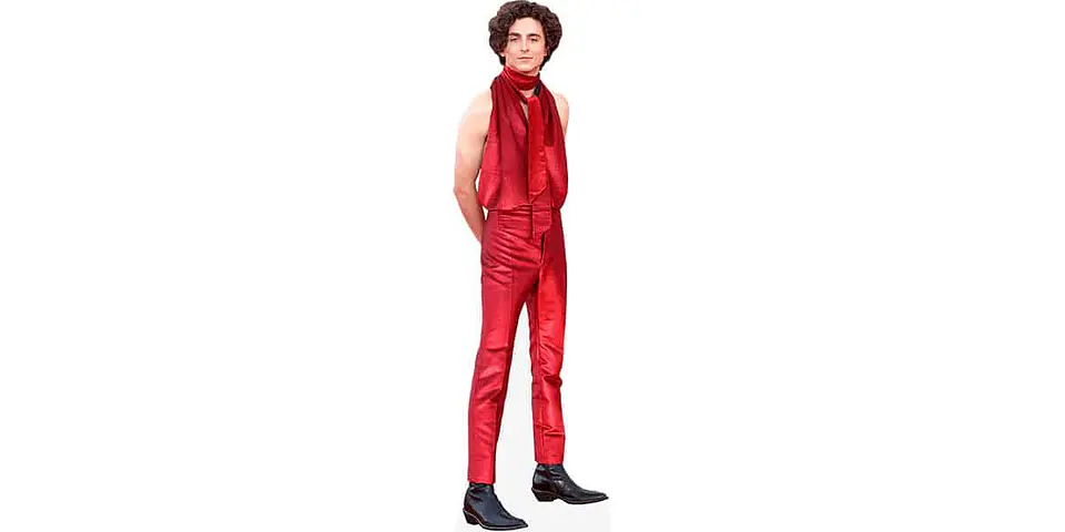 Timothée Chalamet 1