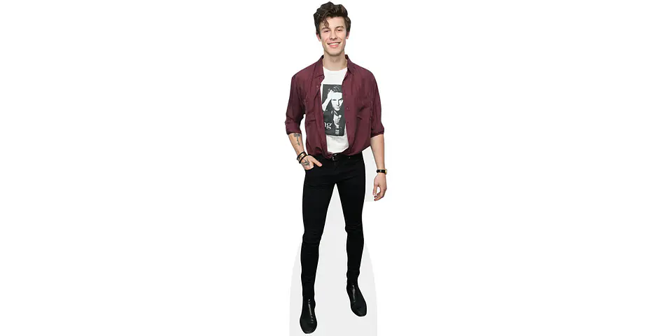 Shawn Mendes 1