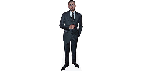 Zayn Malik