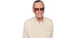 Stan Lee - Miniatura 1