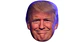 Donald Trump - Miniatura 1
