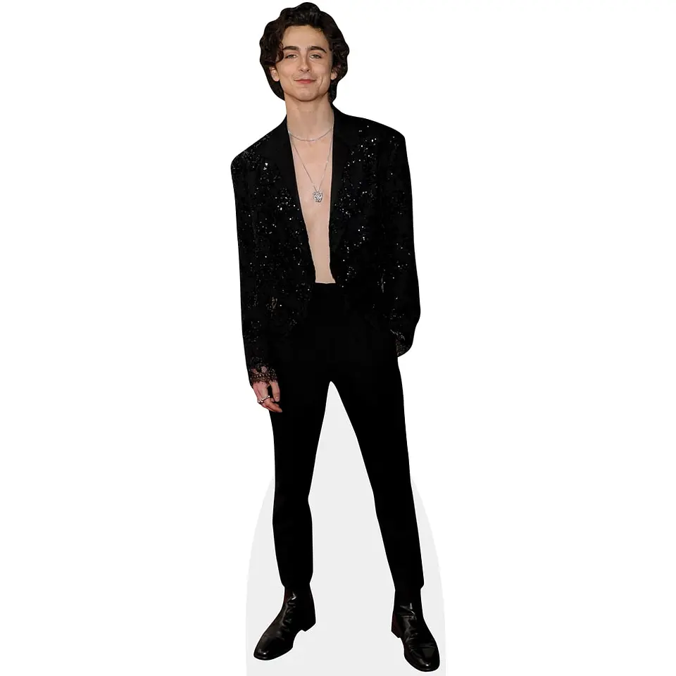 Timothée Chalamet 1