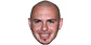 Pitbull - Miniatura 1