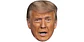 Donald Trump - Miniatura 1