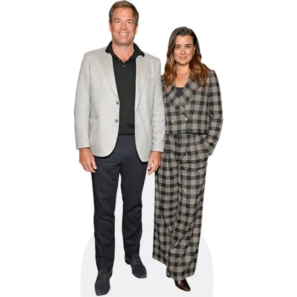 Michael Weatherly And Cote De Pablo 1