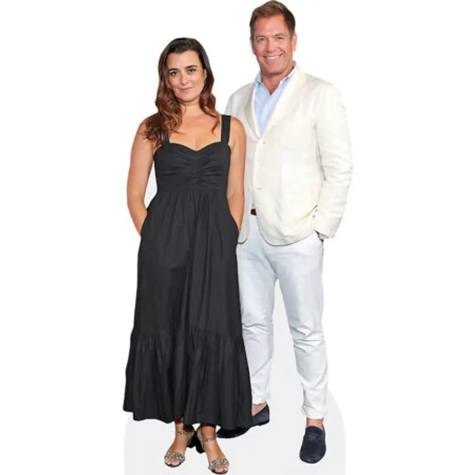 Michael Weatherly And Cote De Pablo 1