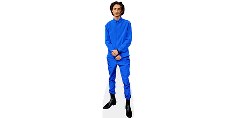 Timothée Chalamet