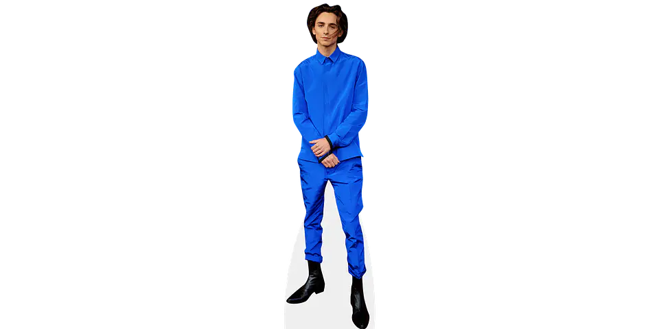 Timothée Chalamet 1