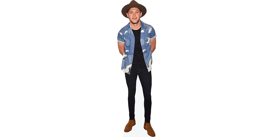 Niall Horan 1