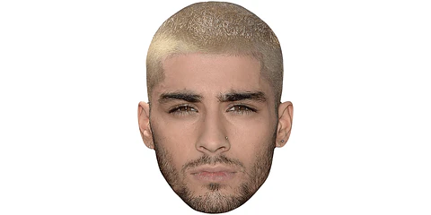 Zayn Malik