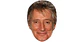 Rod Stewart - Miniatura 1