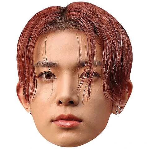 Lee Heeseung (ENHYPEN)