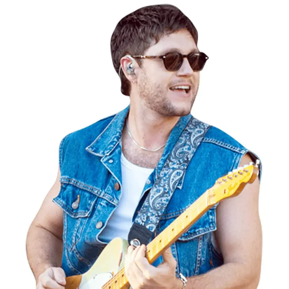 Niall Horan 1