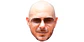 Pitbull - Miniatura 1