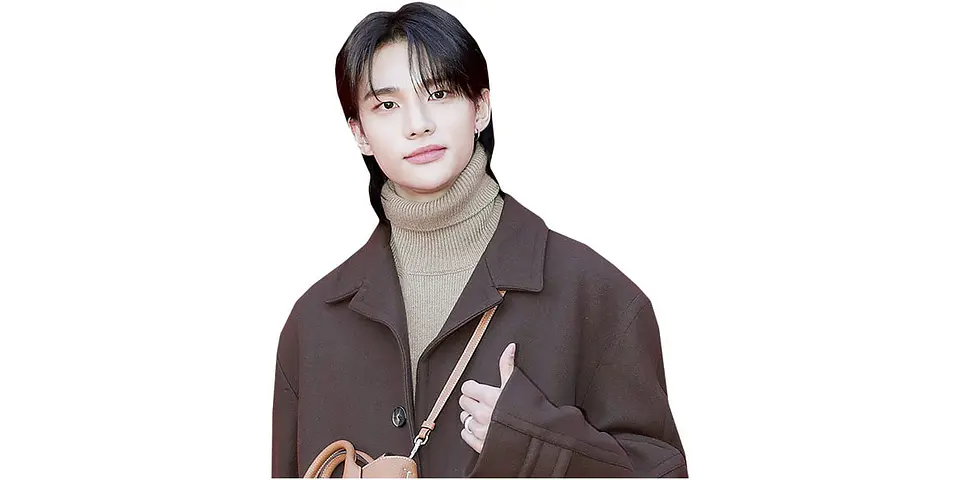 Hyunjin (Stray Kids) 1