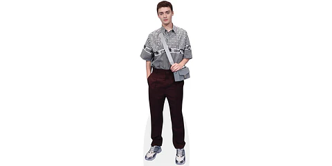 Noah Schnapp Bag