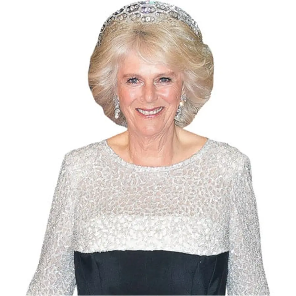 Camilla Queen Consort (Long Dress) 1