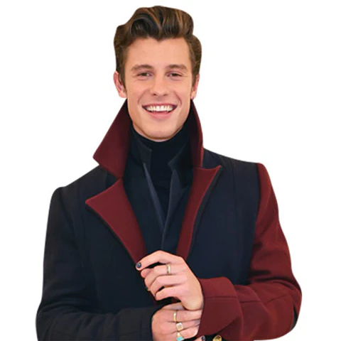 Shawn Mendes (Coat)