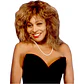 Tina Turner (Young) - Miniatura 1