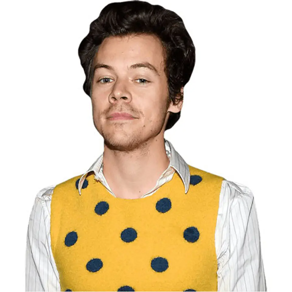 Harry Styles (Yellow Top) 1