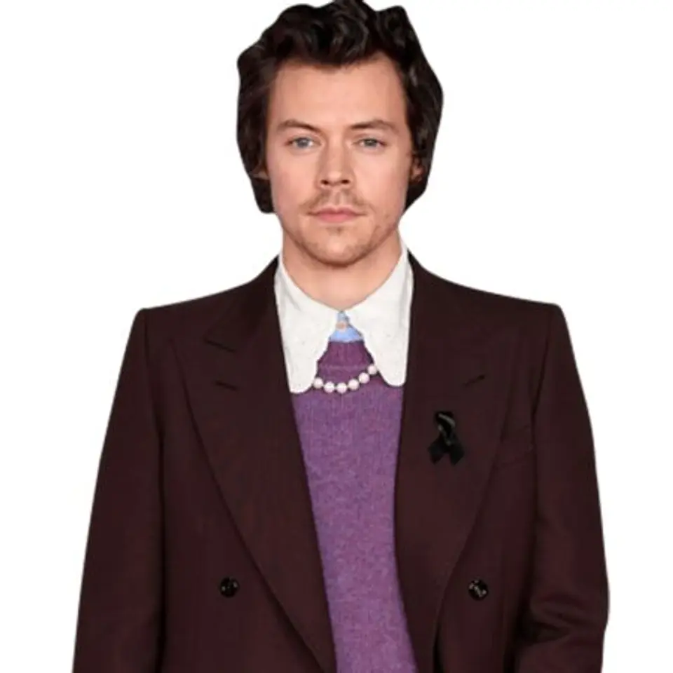 Harry Styles (Burgundy Suit) 1