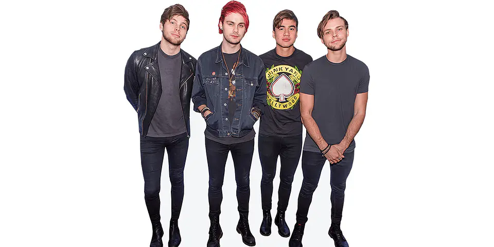 5 Seconds Of Summer 1