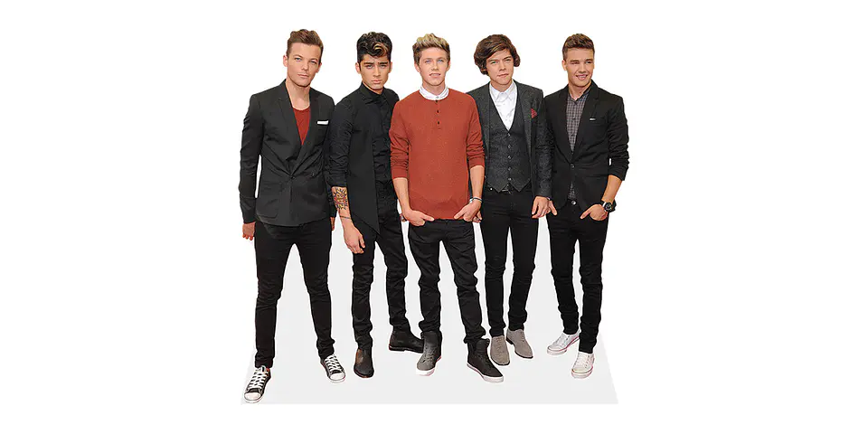 One Direction 1