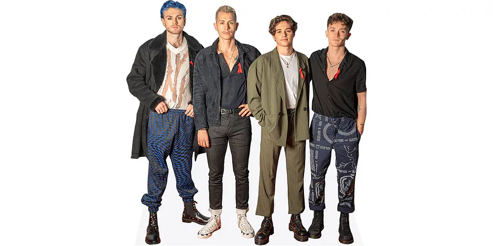 The Vamps 1