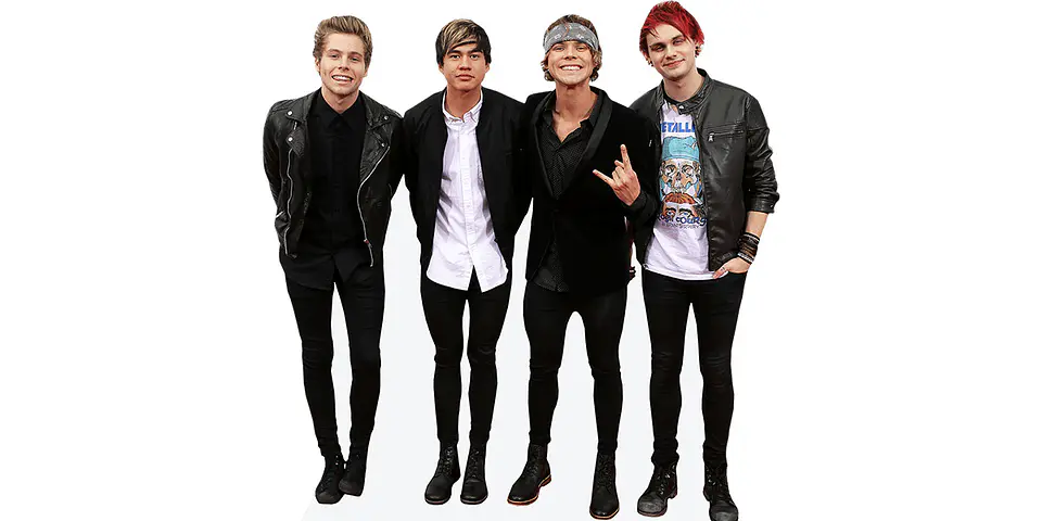 5 Seconds Of Summer 1