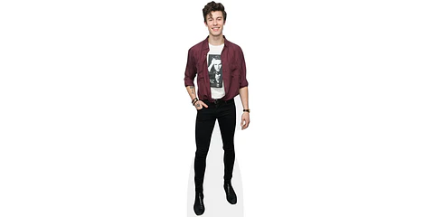 Shawn Mendes
