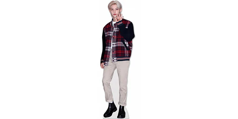 FELIX 3 STK