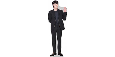 JIN BTS BS