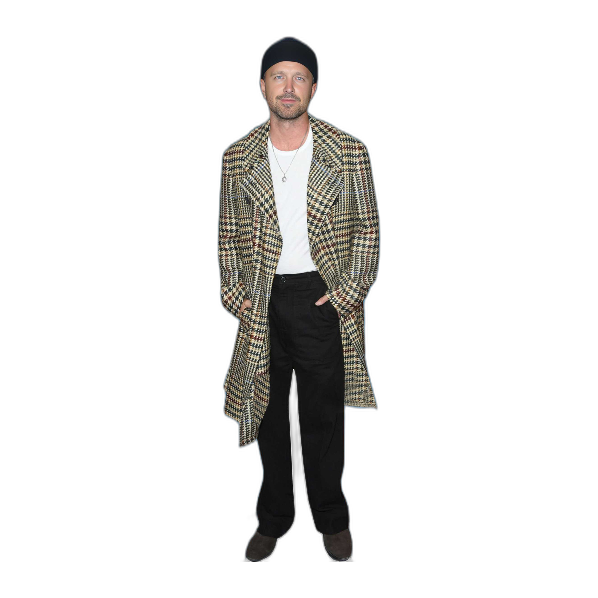 AARON PAUL 1