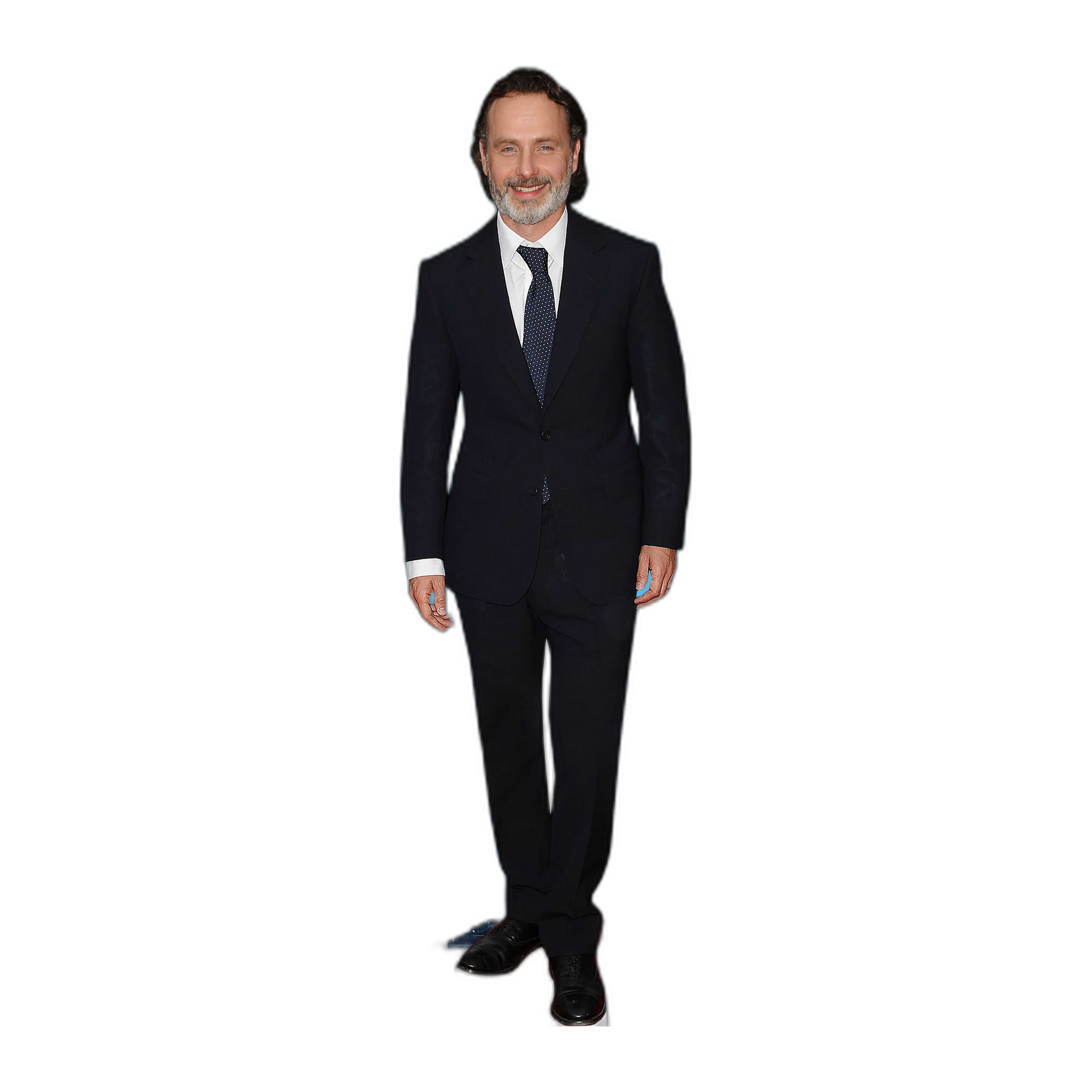 ANDREW LINCOLN 1