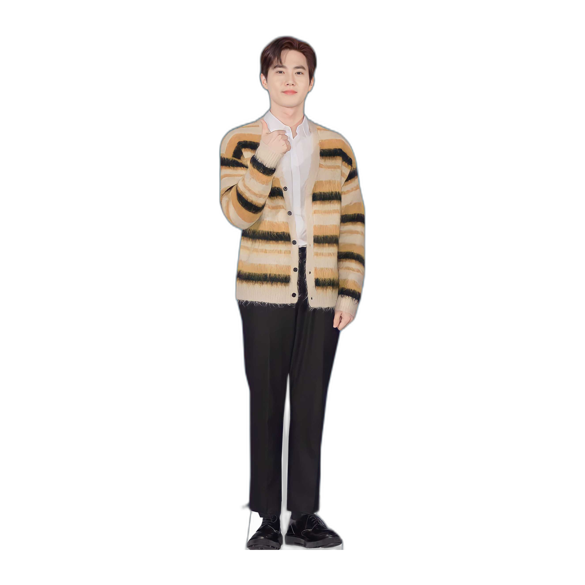 SUHO 1
