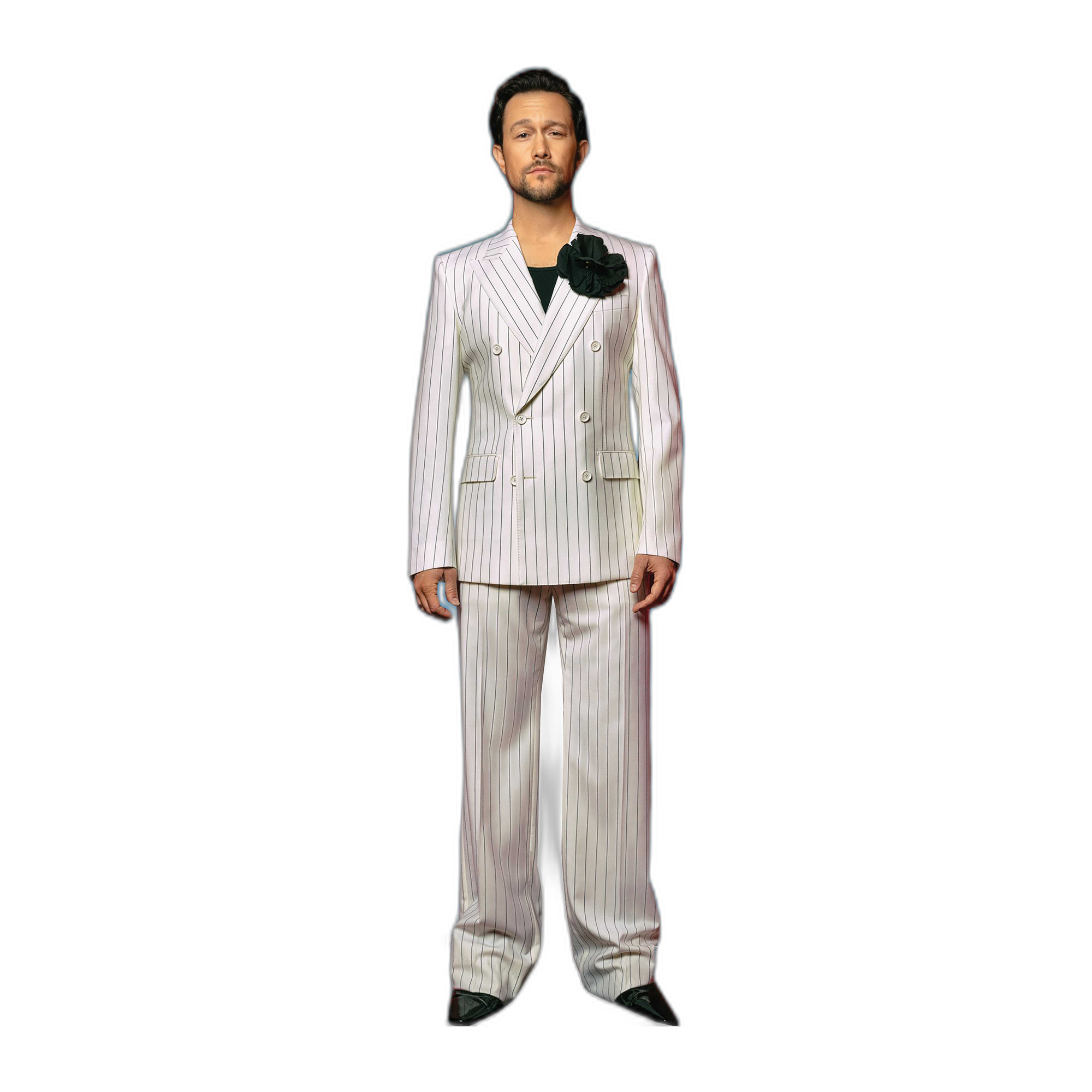JOSEPH GORDON LEVITT 1