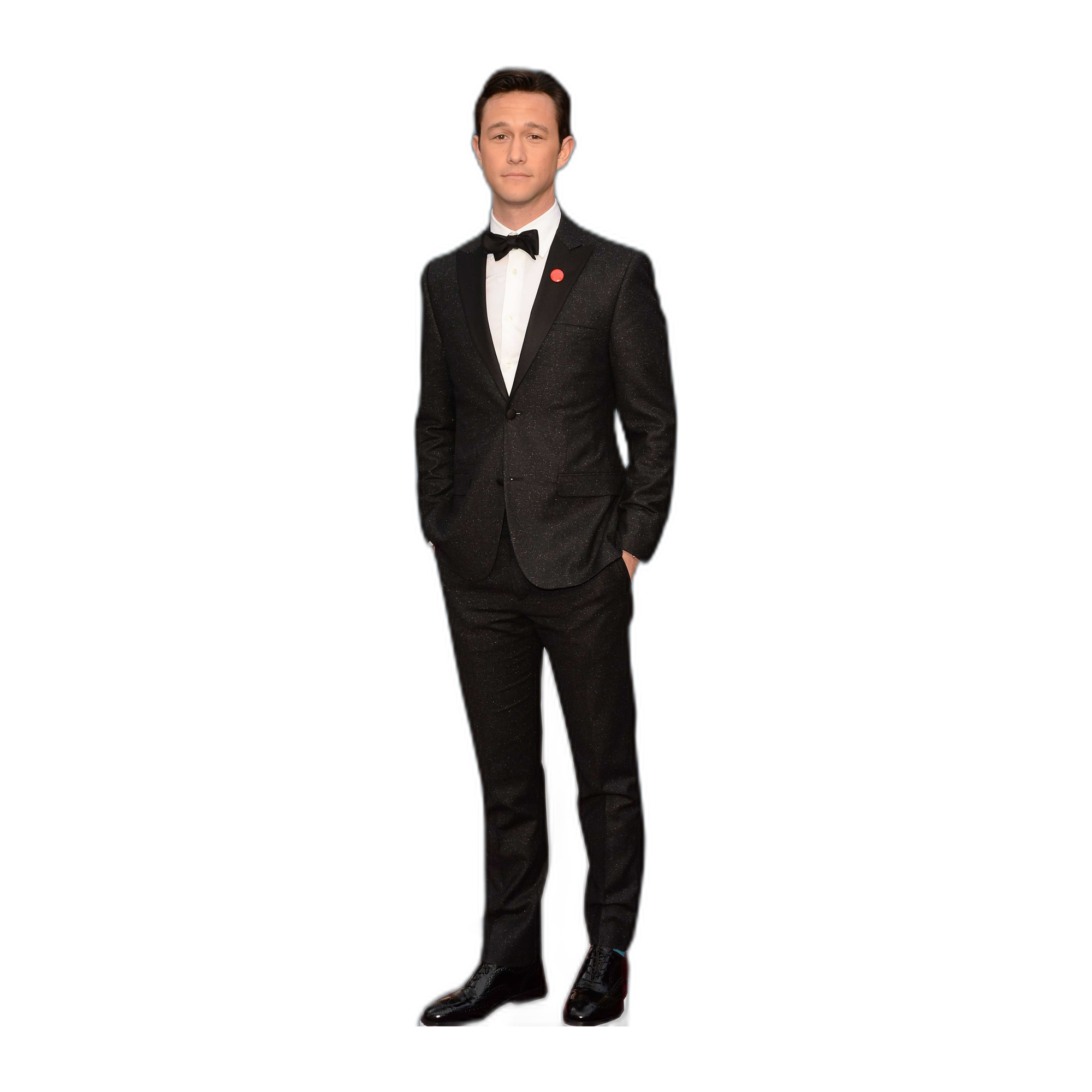 JOSEPH GORDON LEVITT 1