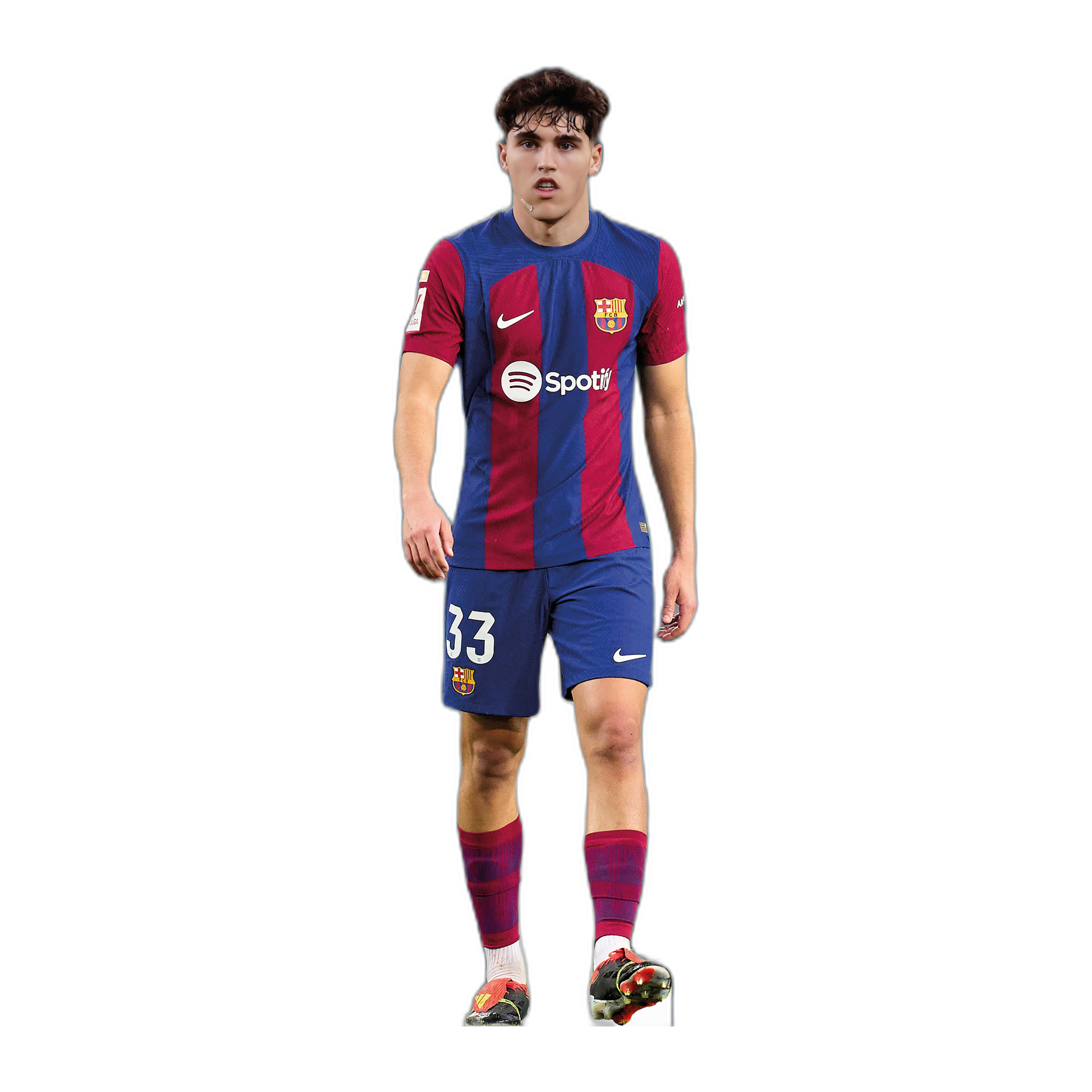 PAU CUBARSI 1