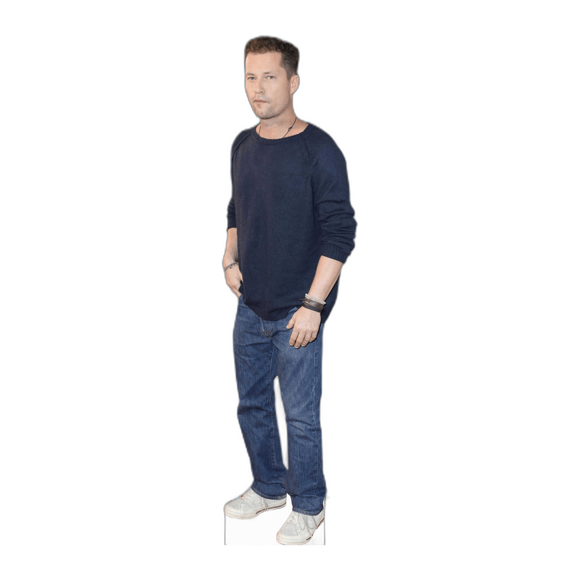 TIL SCHWEIGER 1