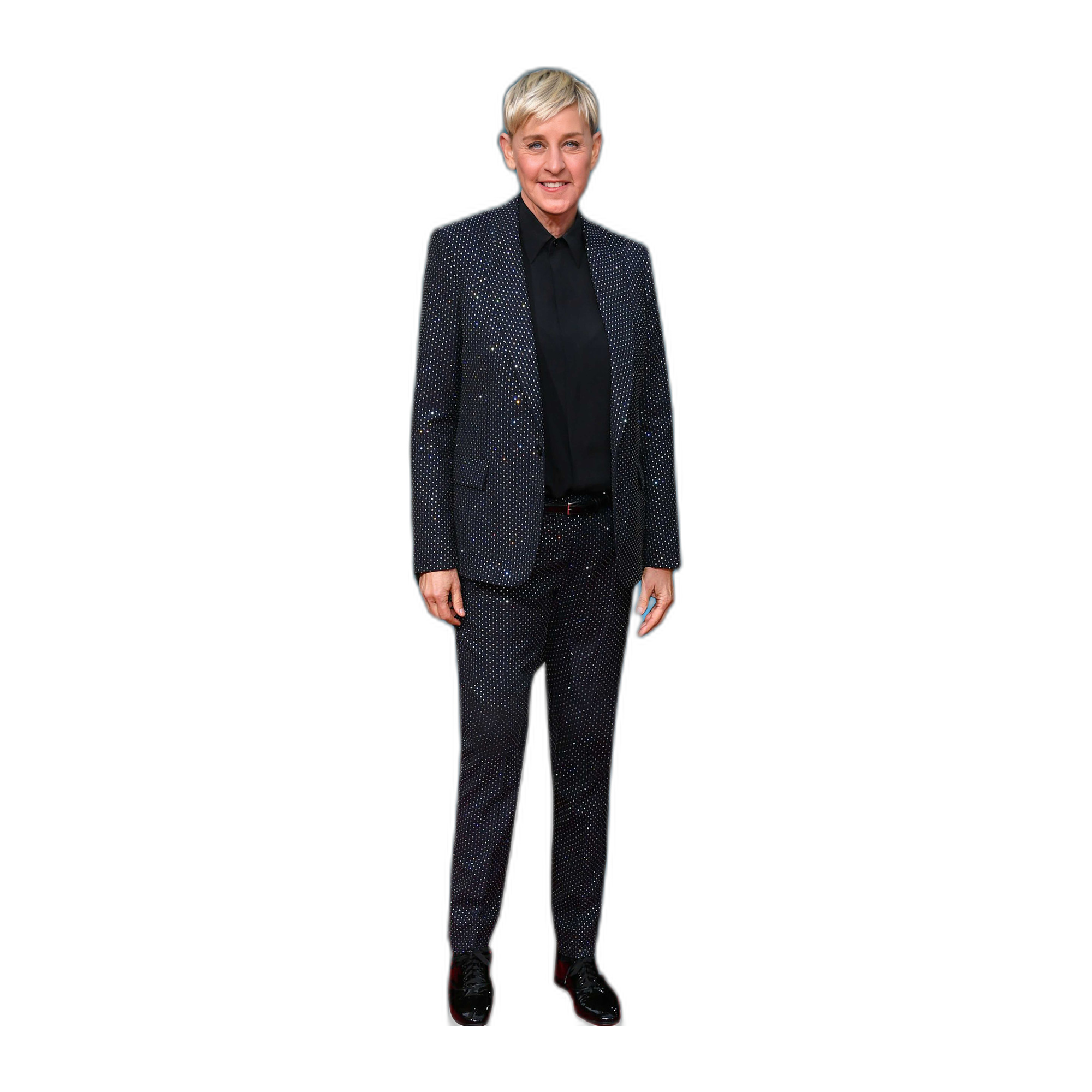 ELLEN DEGENERES 1