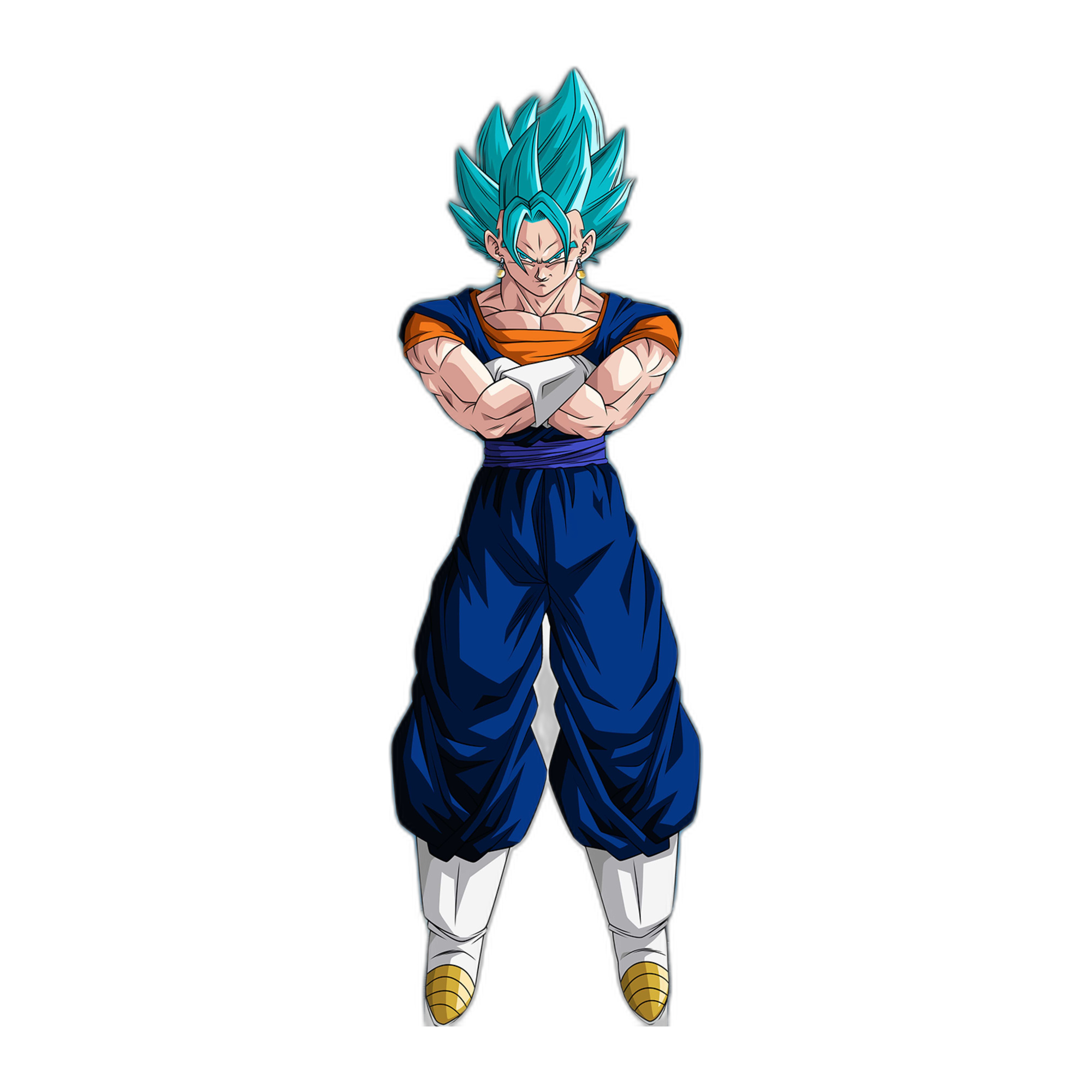 VEGETA SUPER SAIYAN BLUE 1